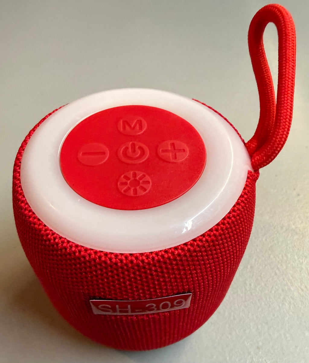 SH-309 Wireless Speaker - Compact, Powerful Sound