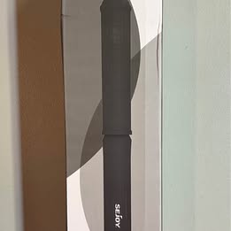 Hair Straightener Brush - 2-in-1 Heated Straightening Brush with Dual Bristles