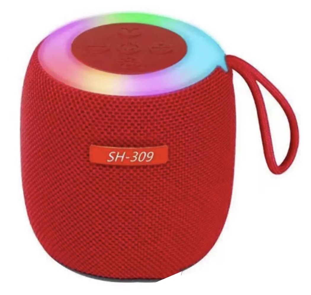 SH-309 Wireless Speaker - Compact, Powerful Sound