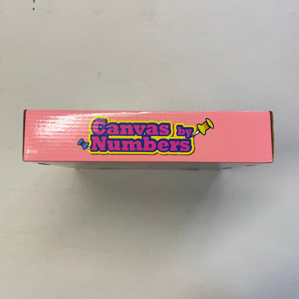 Canvas by Numbers - Mermaid Paint by Numbers Kit (Brand New)